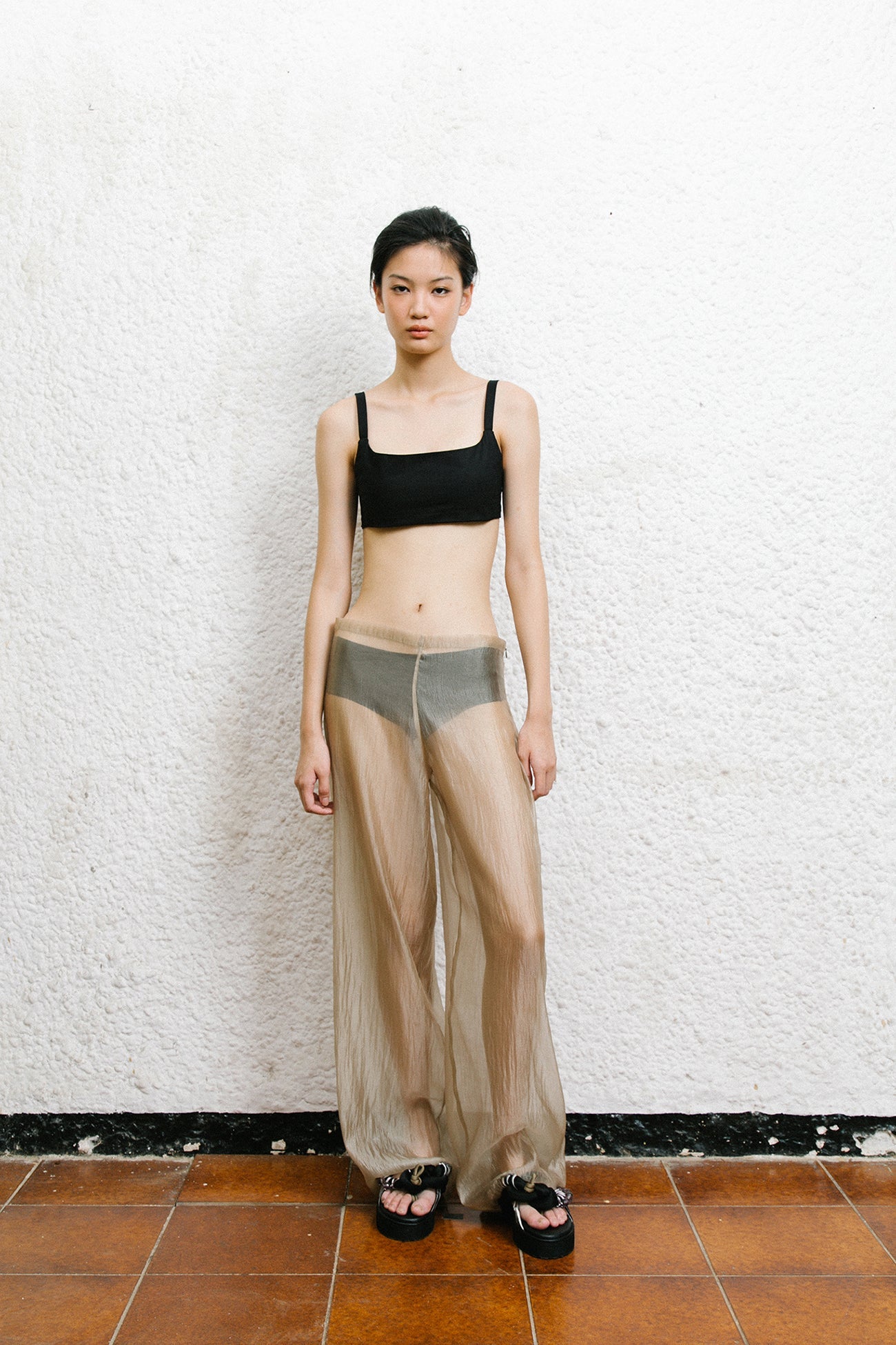 Sherry Sheer Pants