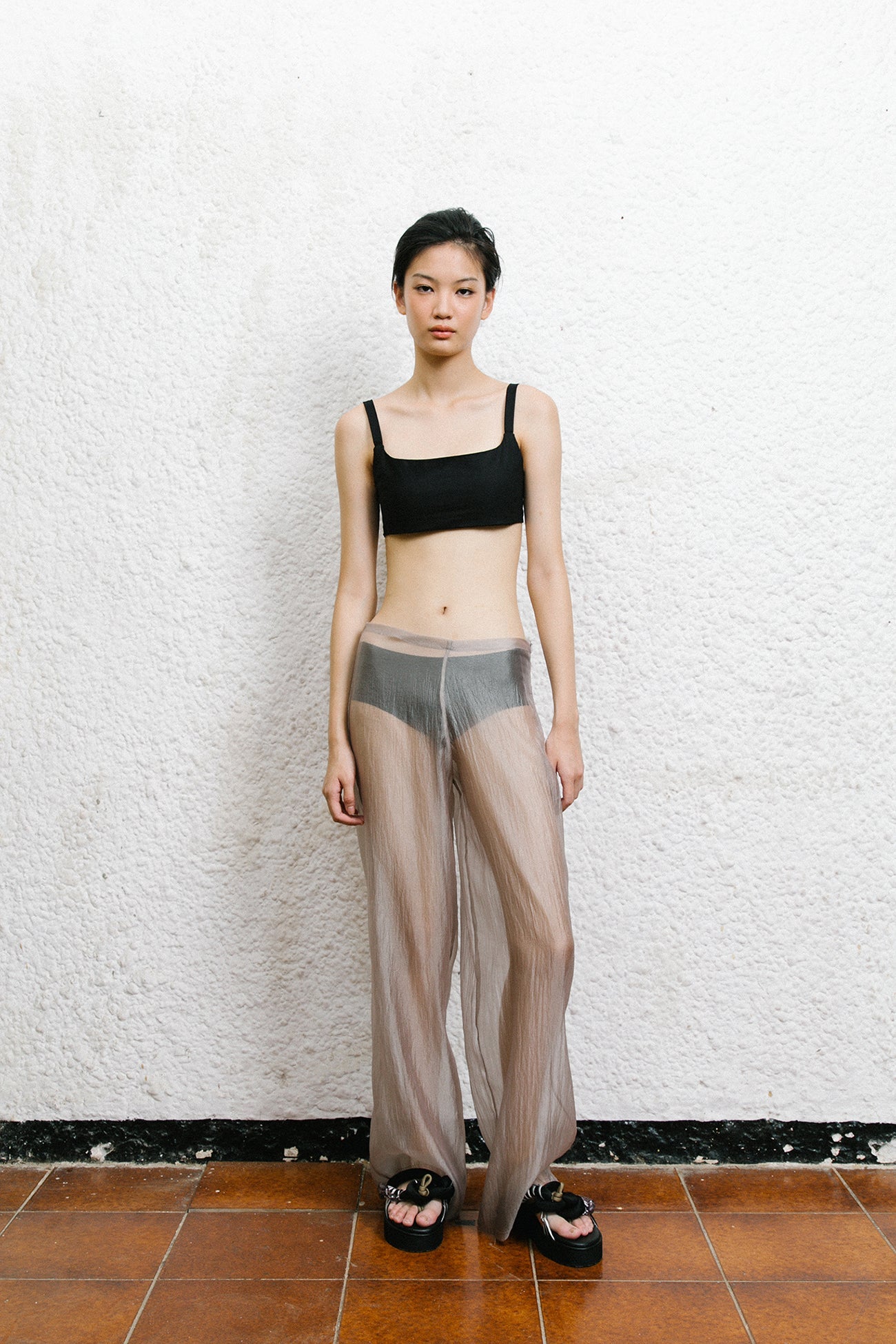 Sherry Sheer Pants