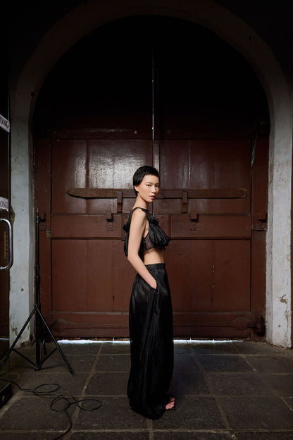 Ve Cropped Sheer Top